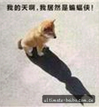 王浩
