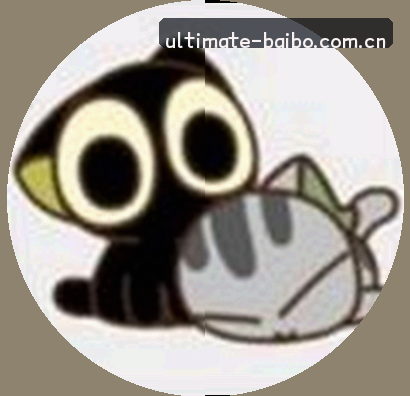 赵敏