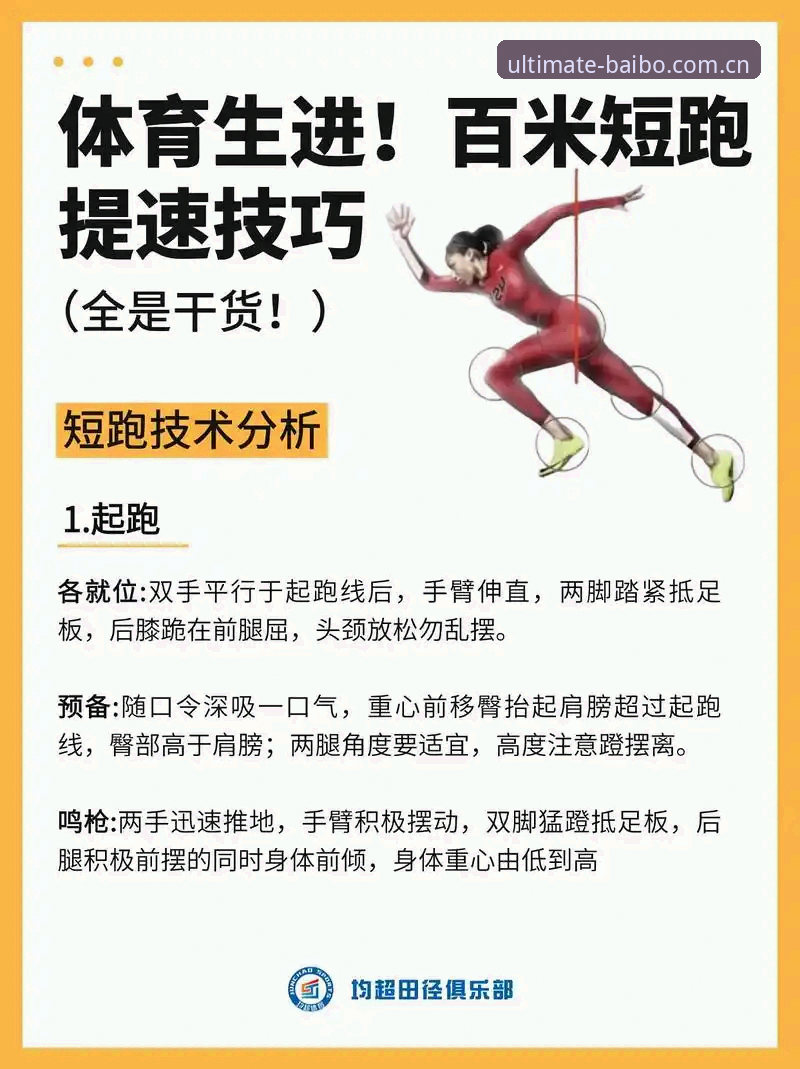 4个百博体育数据查询技巧：从新手到高手的实战指南
